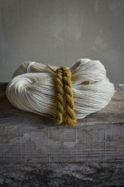 Sur une planche en bois, un écheveau de laine blanc et deux échevettes de laine jaunes teintes naturellement avec de la rhubarbe