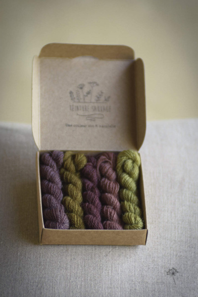 Dans un coffret, cinq échevettes de fils à broder en laine violets et verts