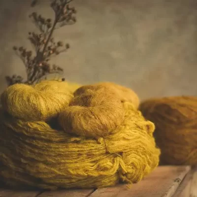 avrenchin peigné teint en jaune avec de la rhubarbe uniquement